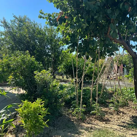 Lena's * Qerret (Tirana)